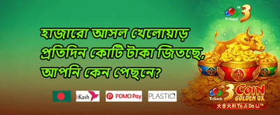ডেইলি স্পিন অফার