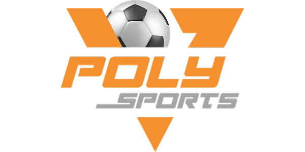 POLY-COLOR Logo